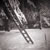 ladder in the snow